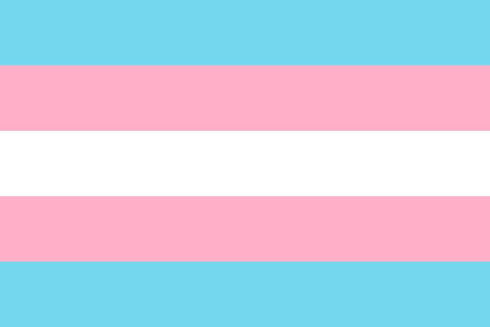 Trans Pride Flag